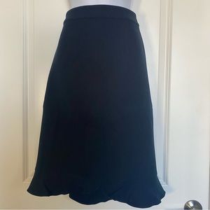 Ann Taylor Dress Skirt